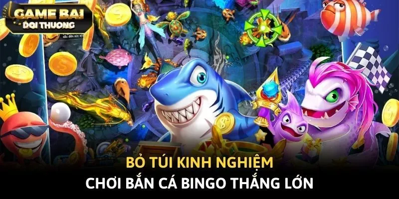 Bỏ túi kinh nghiệm chơi bắn cá Bingo thắng lớn